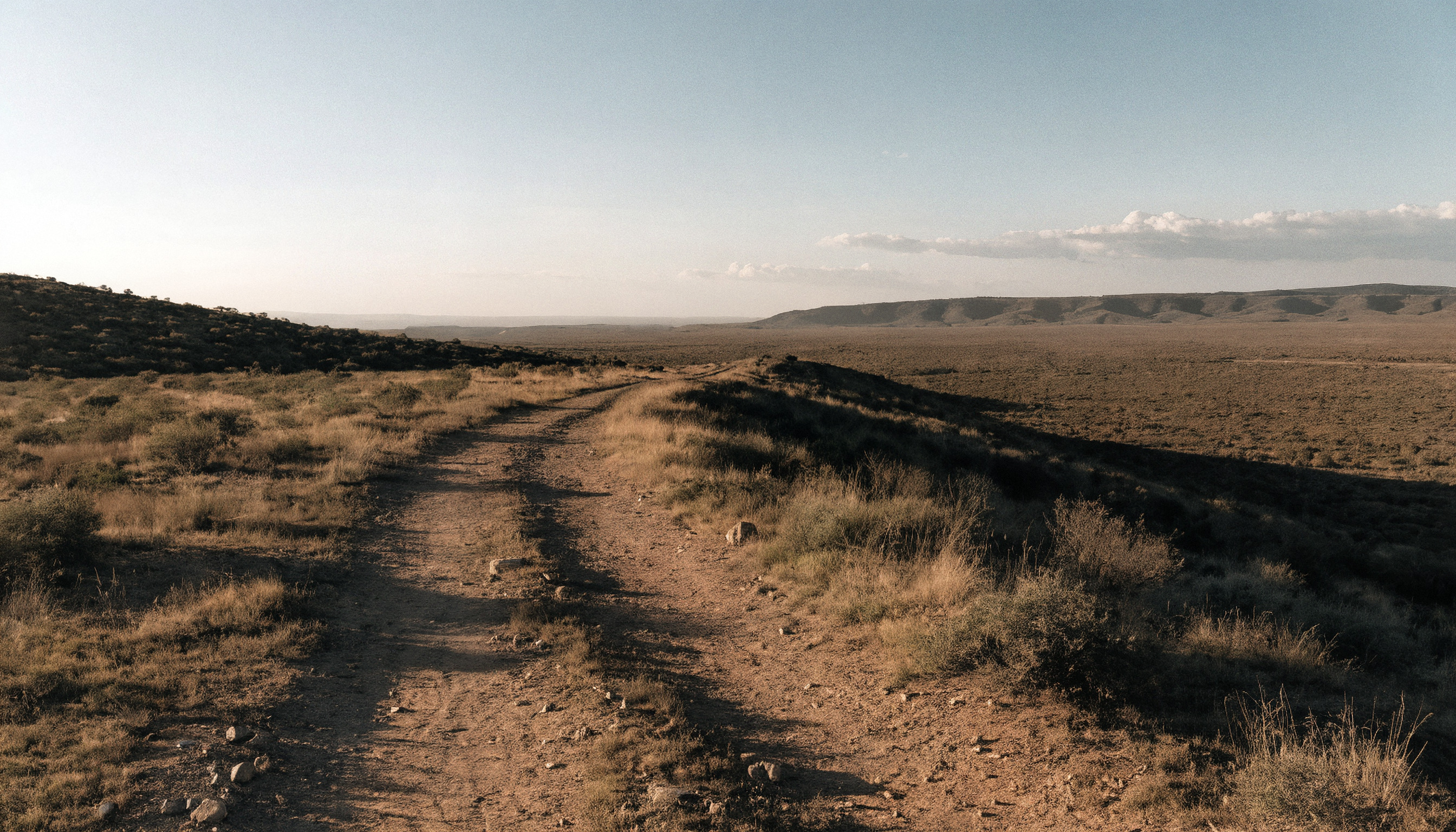 Batı Afrika savanasında altın ışıkta uzayan eski bir kervan yolu